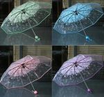Transparent Umbrella - Image 3