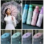 Transparent Umbrella