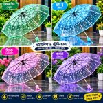 Transparent Umbrella